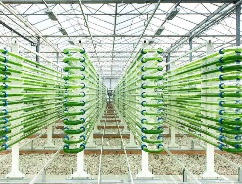 Lgem mei 2022 LO res 1 Bewerkt