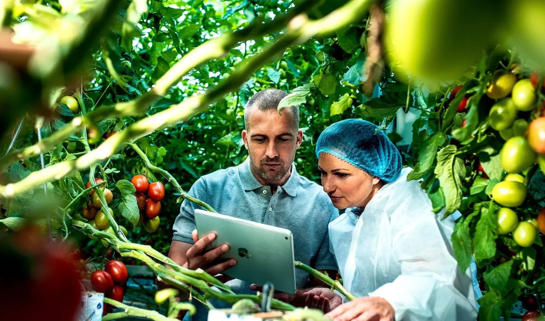 Solutions Areas banner 2